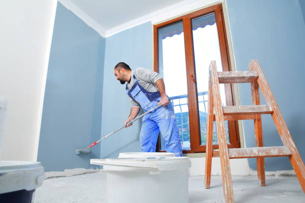 Professional Mold Removal in King Cove, AK