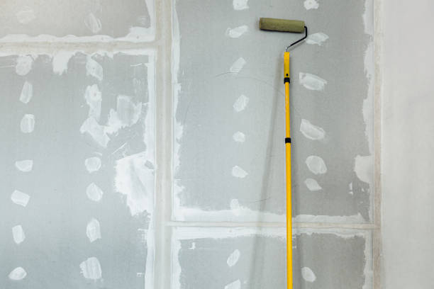 Best Emergency Mold Remediation  in King Cove, AK