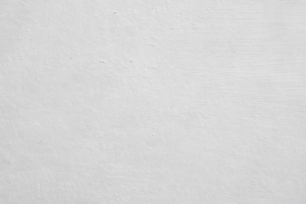 Best Attic Mold Removal  in King Cove, AK